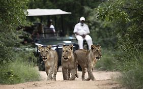 Karongwe Portfolio - Kuname Lodge