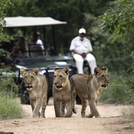 Karongwe Portfolio - Kuname Lodge Karongwe Game Reserve Exterior photo