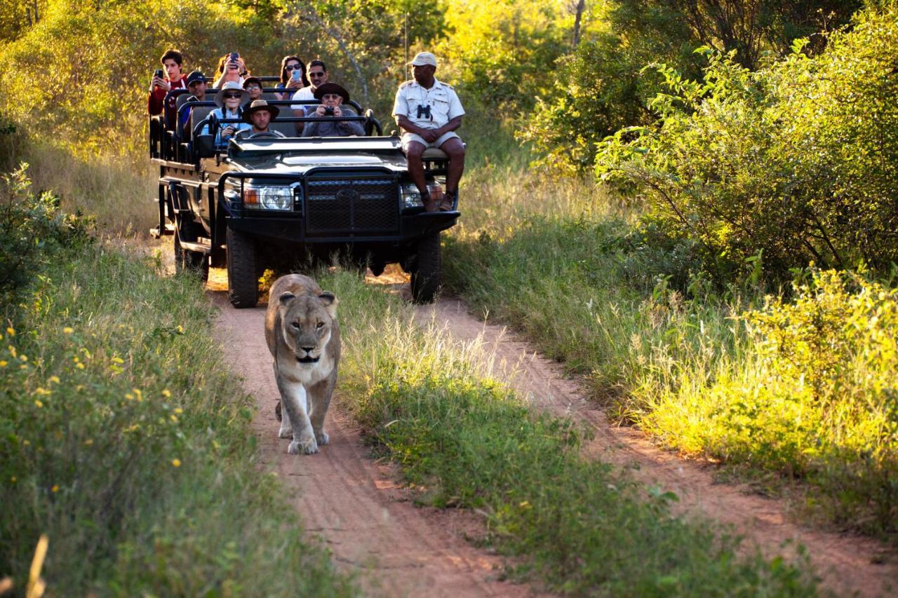 Karongwe Portfolio - Kuname Lodge Karongwe Game Reserve Exterior photo