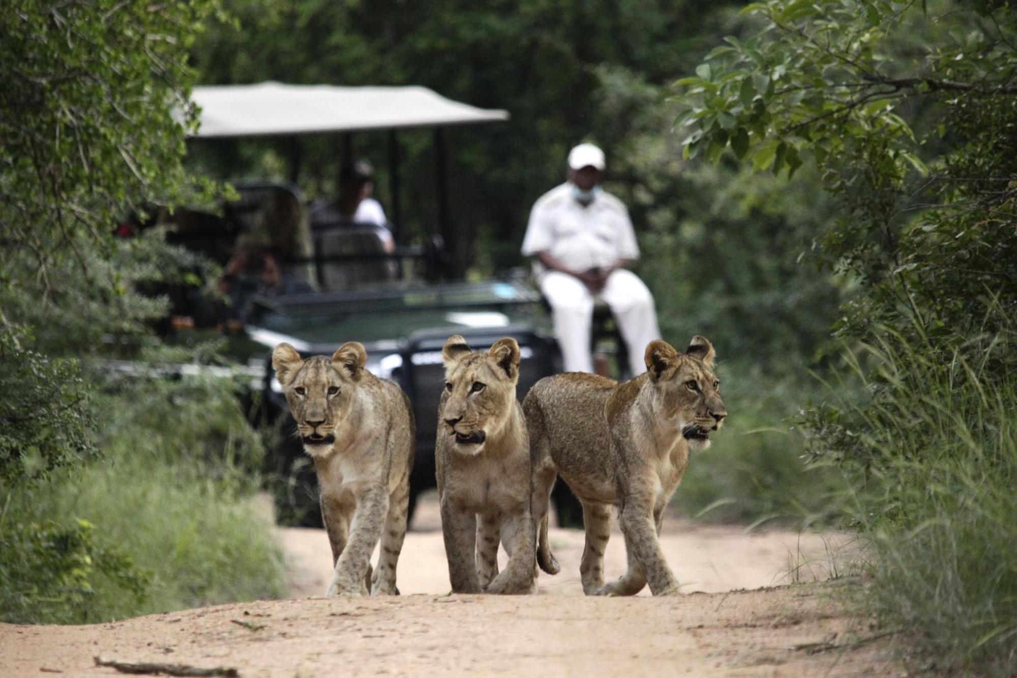 Karongwe Portfolio - Kuname Lodge Karongwe Game Reserve Exterior photo
